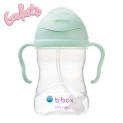 B. Box Sippy Cup V2 8 Oz 27 B. Box Sippy Cup V2 8 Oz -Baby Products Store 520 pistachio sippy cup gelato x1024 26389660 e1c4 4ab6 8f37 d6d58fc62030