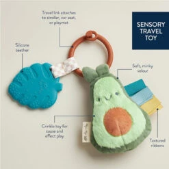 Itzy Ritzy Itzy Pal Infant Toy - Avocado -Baby Products Store ItzyPal InfantToy Avocado 03