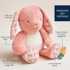 Itzy Ritzy Sweetie Snuggles Plush-Bunny -Baby Products Store SweetieSnuggles Plush Bunny 03