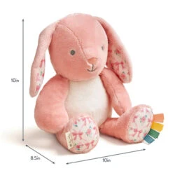 Itzy Ritzy Sweetie Snuggles Plush-Bunny -Baby Products Store SweetieSnuggles Plush Bunny 06