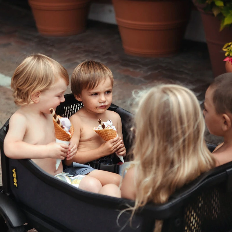 Veer Cruiser All-Terrain Wagon XL 11 Veer Cruiser All-Terrain Wagon XL - Image 9