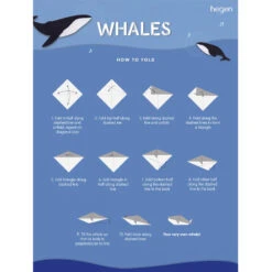 Hegen Wonder Blue Collection -Baby Products Store WonderBlueCollection 03