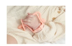 Moyuum Silicone Adjustable Lion Baby Teether -Baby Products Store point02 02