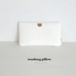 Sundung Air Mesh Pillow